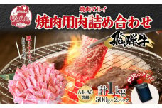 [№5331-0052]飛騨牛 焼肉用 A4～A5等級使用 約1kg 500g×2パック 肉 牛肉 和牛 ブランド牛 お肉 ビーフ A4ランク A5ランク 国産 お取り寄せ ご褒美 豪華 グルメ 焼肉 BBQ パーティー ギフト 贈り物 自家用 贈答用 送料無料 焼肉マルイ 岐阜県 【 安八町 】