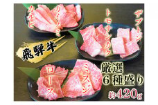 [№5331-0060]飛騨牛厳選6種盛り約420g（ミスジ・カルビ・ロース・ザブトン・カイノミ・トモサンカク）各約70g