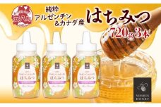 [№5331-0139]アルゼンチン&カナダ産はちみつ720g 3本入り 海外産 はちみつ 詰め合わせ ギフト ハニー honey 蜂蜜 甘味料 ハチミツ パン 菓子 トースト ホットケーキ ヨーグルト 調味料 隠し味 常温 常備 お取り寄せ 日新蜂蜜 送料無料 岐阜県 安八町