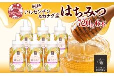 [№5331-0140]アルゼンチン&カナダ産はちみつ720g 3本入り 2セット 海外産 はちみつ 詰め合わせ ギフト ハニー honey 蜂蜜 甘味料 ハチミツ パン 菓子 トースト ホットケーキ ヨーグルト 調味料 隠し味 常温 常備 お取り寄せ 日新蜂蜜 送料無料 岐阜県 安八町
