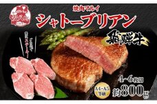 [№5331-0145]飛騨牛 シャトーブリアン ステーキ 約800g 4～6枚切り 肉 牛肉 和牛 ブランド牛 お肉 ビーフ ヒレ 希少部位 赤身 贅沢 国産 お取り寄せ ご褒美 豪華 グルメ 焼肉 BBQ パーティー ギフト 贈り物 自家用 贈答用 送料無料 焼肉マルイ 岐阜県 【 安八町 】