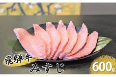 [№5331-0146]飛騨牛ミスジ約600g（300g×2）