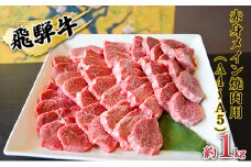 [№5331-0150]飛騨牛　赤身メイン焼肉用　A4～A5等級使用　マルイおまかせ約1kg（500g×2p）