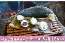 [№5331-0231]ケーキ大福　16個入り