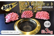 [№5331-0239]飛騨牛　BBQセット　約3kg　A4～A5等級使用