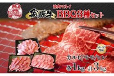 [№5331-0239]焼肉マルイ 飛騨牛BBQセット 約3kg  セット カルビ ヒレ肉 モモ肉 お肉 肉 お家で簡単 本格 国産 国産牛 牛 牛肉 和牛 秘伝のたれ タレ付き 焼くだけ簡単 お取り寄せグルメ 送料無料 岐阜県 安八町