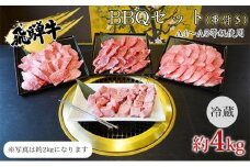 [№5331-0243]串付き　飛騨牛BBQセット約4kg（A4～A5等級使用）