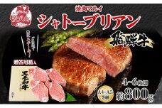 [№5331-0250]飛騨牛贈答用 シャトーブリアン ステーキ約800g 肉 牛肉 和牛 ブランド牛 お肉 ビーフ ヒレ 希少部位 赤身 贅沢 国産 お取り寄せ ご褒美 豪華 グルメ 焼肉 BBQ パーティー ギフト 贈り物 自家用 贈答用 送料無料 焼肉マルイ 岐阜県 【 安八町 】