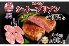 [№5331-0256]飛騨牛 シャトーブリアン ステーキ 6ヵ月定期便約800g 4～6枚切り×6 肉 牛肉 和牛 ブランド牛 お肉 ビーフ ヒレ 希少部位 赤身 贅沢 国産  ご褒美 豪華 グルメ 焼肉 BBQ パーティー ギフト 贈り物 自家用 贈答用 送料無料 焼肉マルイ 岐阜県 【 安八町 】