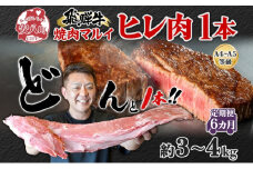 [№5331-0259]飛騨牛 ヒレ肉 ブロック A4～A5等級 1本6ヵ月定期便約3～4kg  3割×6 ヒレ シャトーブリアン 肉 牛肉 ブランド牛 お肉 和牛 贅沢 お取り寄せ ご褒美 ステーキ 豪華 グルメ 焼肉 BBQ パーティー ギフト 贈り物 自家用 贈答用 焼肉マルイ 岐阜県 【 安八町 】