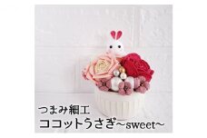 [№5331-0265]【ココットうさぎ～sweet～】