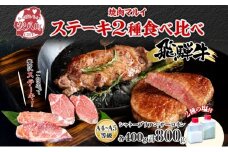 [№5331-0363]飛騨牛 ステーキ 2種 食べ比べ 計約800g シャトーブリアン サーロイン 各約400g 肉 牛肉 和牛 ブランド牛 お肉 ビーフ A4ランク A5ランク 国産 お取り寄せ ご褒美 豪華 グルメ 焼肉 BBQ 人気 贈り物 自家用 贈答用 送料無料 焼肉マルイ 岐阜県 安八町