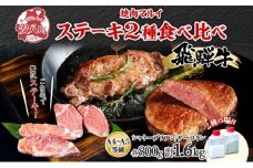 [№5331-0364]飛騨牛 ステーキ 2種 食べ比べ 計約1.6kg シャトーブリアン サーロイン 各約800g 肉 牛肉 和牛 ブランド牛 お肉 ビーフ A4ランク A5ランク 国産 お取り寄せ ご褒美 豪華 グルメ 焼肉 BBQ 人気 贈り物 自家用 贈答用 送料無料 焼肉マルイ 岐阜県 安八町