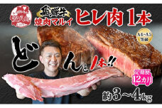 [№5331-0377]定期便 12ヶ月 飛騨牛 ヒレ肉 1本 A4～A5等級 約3～4kg  3割×6  ヒレ シャトーブリアン 肉 牛肉 ブランド牛 お肉 和牛 贅沢 お取り寄せ ご褒美 ステーキ 豪華 グルメ 焼肉 BBQ ギフト 贈り物 自家用 贈答用 送料無料 焼肉マルイ 岐阜県 安八町