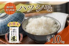 [№5331-0406]R6年産  特選米 ハツシモ 精米 10kg ×1袋 お米 米 白米 ごはん 精白米 はつしも 令和6年産 ブランド米 低農薬 お取り寄せ 産地直送 クリーンファームまき 送料無料 岐阜県 安八町