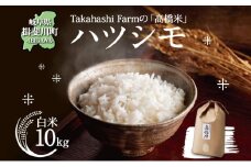 [№5568-0025]岐阜県 揖斐川町産 令和6年 ハツシモ 高橋米 10kg 1袋 お米 精米 白米 米 ごはん ご飯 はつしも あっさり ふっくら ブランド米 10キロ 大粒 幻の米 お取り寄せ 自家用 高橋ファーム Takahashi Farm 揖斐川町