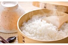 [№5568-0076]揖斐郡産 味のいび米はつしも精米10kg×3袋