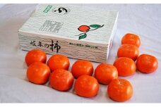 [№5568-0128]【オンライン決済限定】贈答富有柿　Lサイズ14玉入り