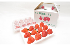 [№55680139]贈答用いちご美濃娘 3L 12粒×2パックセット