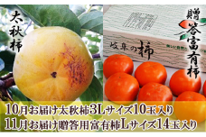 [№5568-0173]【オンライン決済限定】［柿食べ比べセット］太秋柿 3L 10玉＆贈答富有柿 14玉
