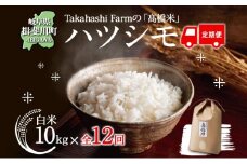 [№5568-0180]定期便 全12回 米 令和7年 ハツシモ  高橋米 10kg 1袋  お米 精米 白米 ごはん ご飯 はつしも あっさり ふっくら ブランド米 10キロ お取り寄せ 産地直送 送料無料 高橋ファーム Takahashi Farm 岐阜県 揖斐川町