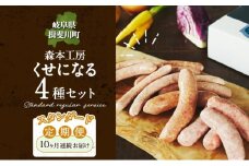 [№5568-0202]定期便 10ヶ月 ハム ソーセージ くせになる 定期 スタンダード 10ヶ月 コース 化粧箱入り 肉 フランクフルト ベーコン BBQ 焼肉 おつまみ ギフト グルメ お取り寄せ 贈答用 ご褒美 本格 手作り 本場 ドイツ 人気 送料無料 森本工房 岐阜県 揖斐川町