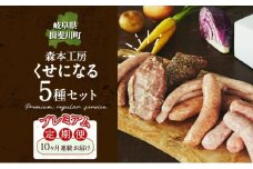 [№5568-0207]定期便 10ヶ月 ハム ソーセージ くせになる定期プレミアム 10ヶ月コース 化粧箱入り 肉 フランクフルト ベーコン BBQ 焼肉 おつまみ ギフト グルメ お取り寄せ 贈答用 ご褒美 本格 手作り 本場 ドイツ 人気 送料無料 森本工房 岐阜県 揖斐川町