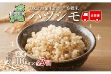 [№5568-0419]全3回お届け定期便 岐阜県 揖斐川町産 ハツシモ「高橋米」玄米 10kg×1袋 お米 精米 玄米 ごはん 米 ご飯 はつしも ブランド米 大粒米 白米 炊飯 冷めても美味しい お弁当 冷凍保存 ライス 主食 ふっくら お取り寄せ 送料無料 揖斐川町