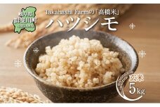 [№5568-0420]岐阜県 揖斐川町産 ハツシモ「高橋米」玄米 5kg×1袋 お米 精米 玄米 ごはん 米 ご飯 はつしも ブランド米 大粒 白米 炊飯 冷めても美味しい お弁当 冷凍保存 ライス 主食 ふっくら お取り寄せ 送料無料 岐阜県 揖斐川町