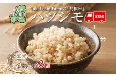 [№5568-0421]全3回お届け定期便 岐阜県 揖斐川町産 ハツシモ「高橋米」玄米 5kg×1袋 お米 精米 玄米 ごはん 米 ご飯 はつしも ブランド米 大粒 白米 炊飯 冷めても美味しい お弁当 冷凍保存 ライス 主食 ふっくら お取り寄せ 送料無料 揖斐川町