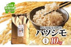 [№5568-0426]自然尊重で育てた安全な美味しい自然米ハツシモ（玄米）10kg お米 ごはん ご飯 カレー 丼物 お弁当 すし飯 冷めても美味しい はつしも ななしん米 岐阜県 揖斐川町