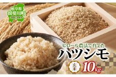 [№5568-0428]ピロール農法で育てた安全な美味しいハツシモ（玄米）10kg お米 ごはん ご飯 カレー 丼物 お弁当 すし飯 冷めても美味しい はつしも ななしん米 岐阜県 揖斐川町
