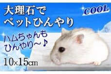 白大理石ペットひんやり ハムスター用 10×15cm