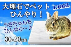 大理石ペットひんやり うさぎフェレット用 30×20cm