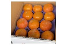 【厳選・産直】 贈答用「富有柿」2L×12個（約3kg）