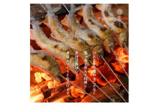一尾ずつ炭火で丁寧に焼き上げた鮎の塩焼き（４尾）