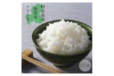 【令和6年産 新米】無洗米 はつしも 10kg（5kg×２袋） 初霜 幻のお米 お米 精米 環境に優しい 大粒 おいしい 米 冷めてもおいしい ふっくら おにぎり 寿司 丼