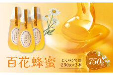 百花蜂蜜 750g（とんがり容器250g×3本）岐阜県産 国産 自慢の一品 ハチミツ 無添加 純粋はちみつ ハニー【オノギ養蜂】