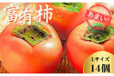 【先行予約】Farm m&aの富有柿 L×14個 秀品 岐阜県 大野町（2025年11月下旬～発送）農家直送 果物 フルーツ 秋の味覚 柿 かき 富有 ふゆう