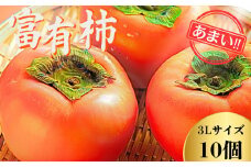 【先行予約】Farm m&aの富有柿 3L×10個 秀品 岐阜県 大野町（2025年11月下旬～発送）農家直送 果物 フルーツ 秋の味覚 柿 かき 富有 ふゆう