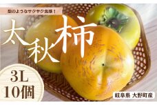【先行予約】梨のような食感！ Farm m&aの太秋柿 3L×10個 秀品 岐阜県 大野町（2025年10月中旬～発送）農家直送 果物 フルーツ 秋の味覚 柿 かき 太秋 たいしゅう
