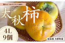 【先行予約】梨のような食感！ Farm m&aの太秋柿 4L×9個 秀品 岐阜県 大野町（2025年10月中旬～発送）農家直送 果物 フルーツ 秋の味覚 柿 かき 太秋 たいしゅう