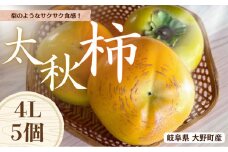 【先行予約】 梨のような食感！ Farm m&aの太秋柿 4L×5個 秀品 岐阜県 大野町（2025年10月中旬～発送）農家直送 果物 フルーツ 秋の味覚 柿 かき 太秋 たいしゅう