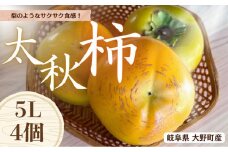 【先行予約】 梨のような食感！ Farm m&aの太秋柿 5L×4個 秀品 岐阜県 大野町（2025年10月中旬～発送）農家直送 果物 フルーツ 秋の味覚 柿 かき 太秋 たいしゅう