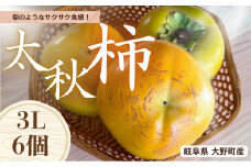 【先行予約】 梨のような食感！ Farm m&aの太秋柿 3L×6個 秀品 岐阜県 大野町（2025年10月中旬～発送）農家直送 果物 フルーツ 秋の味覚 柿 かき 太秋 たいしゅう