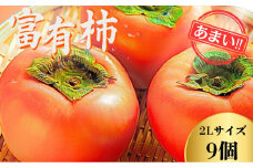 【先行予約】Farm m&aの富有柿 2L×9個 秀品 岐阜県 大野町（2025年11月下旬～発送）農家直送 果物 フルーツ 秋の味覚 柿 かき 富有 ふゆう