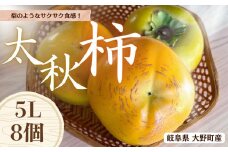 【先行予約】梨のような食感！ Farm m&aの太秋柿 5L×8個 秀品 岐阜県 大野町（2025年10月中旬～発送）農家直送 果物 フルーツ 秋の味覚 柿 かき 太秋 たいしゅう