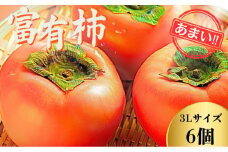 【先行予約】Farm m&aの富有柿 3L×6個 秀品 岐阜県 大野町（2025年11月下旬～発送）農家直送 果物 フルーツ 秋の味覚 柿 かき 富有 ふゆう