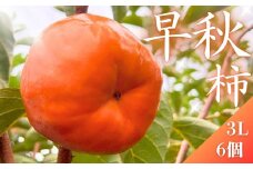 【先行予約】 真っ赤で大きくて甘い！ Farm m&aの早秋柿 3L×6個 秀品 岐阜県 大野町（2025年10月中旬～発送）農家直送 果物 フルーツ 秋の味覚 柿 かき 早秋 そうしゅう