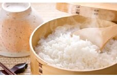 岐阜県揖斐郡産 味のいび米 はつしも 精米20kg [№5644-0570]